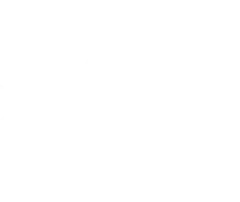 Lady Killer