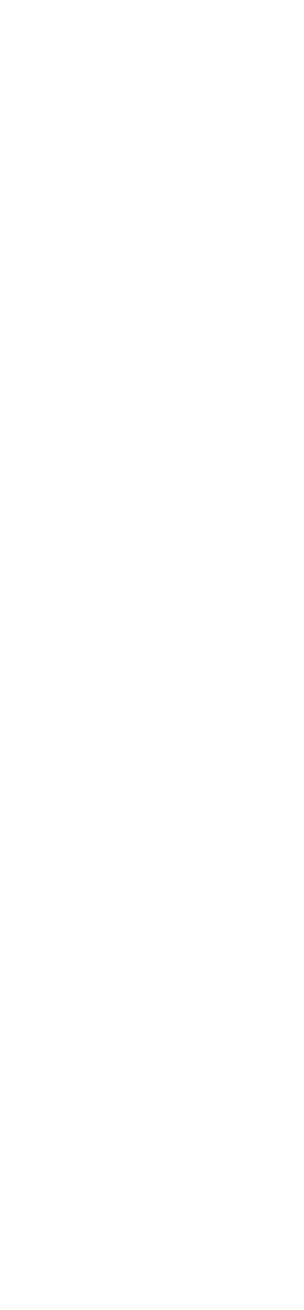 Majesty Customs