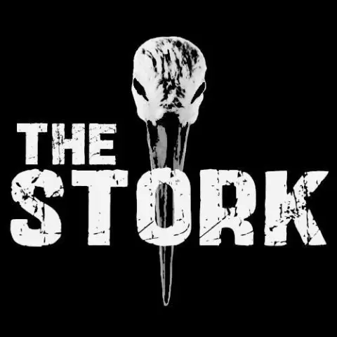The Stork - "New Chapter". Recenzja (Tekst z dnia 19.01.2025 r.)