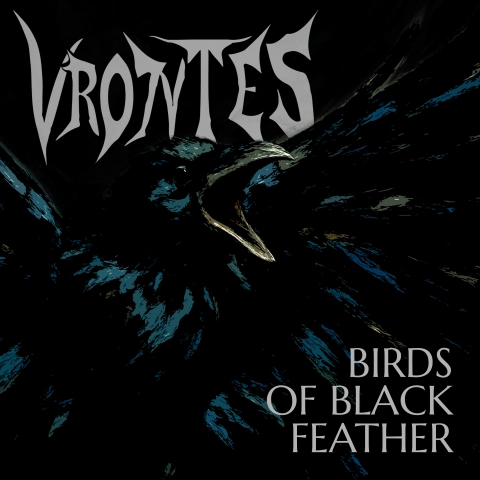 Birds Of Black Feather