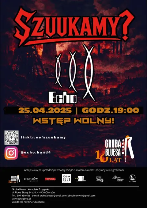 Ślonska Rajza: SZUUKAMY? x Echo - Gruba Bluesa