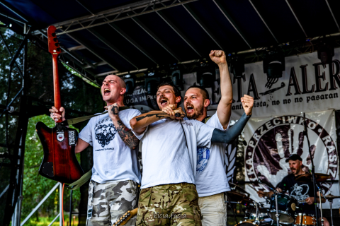 Festiwale letnie 2025 (kicia.focia)