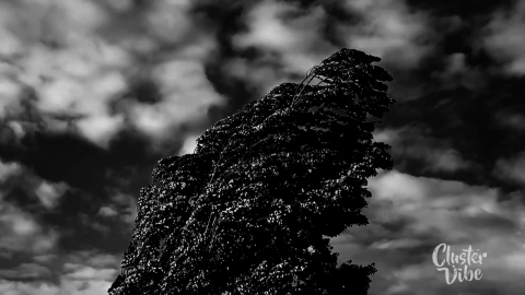 foodchain