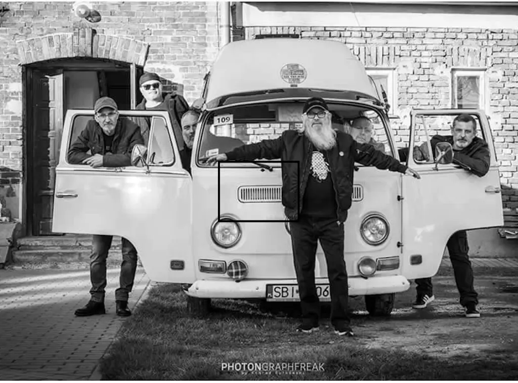Dziki Blues Band