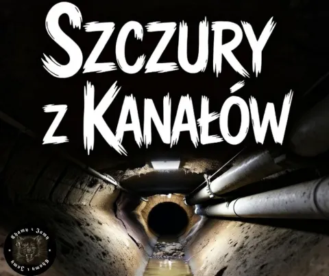 Szczury z kanałów