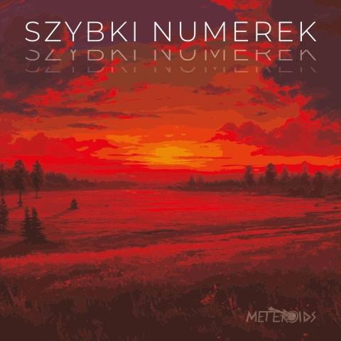 Szybki Numerek