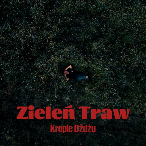 Zieleń traw