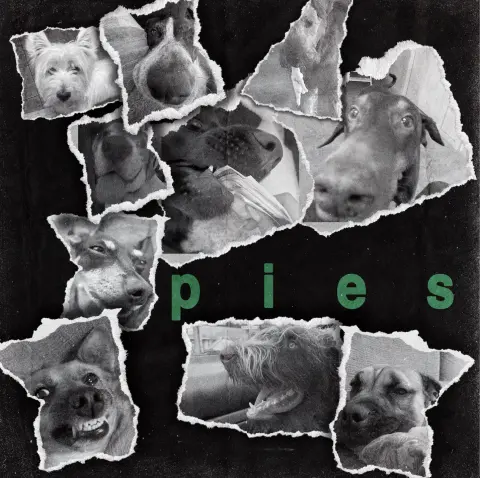 pies
