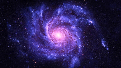 Dark Quark of Space