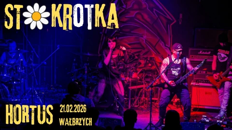 Stokrotka